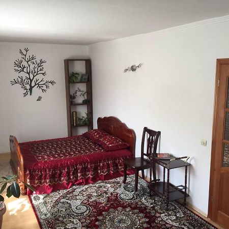 Guest House On Maksimova 9 알마티 외부 사진